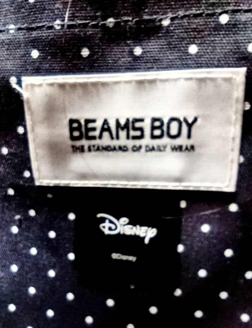 BEAMSBOY Disney ミッキーミニー ドナルドディジーかごバッグ
