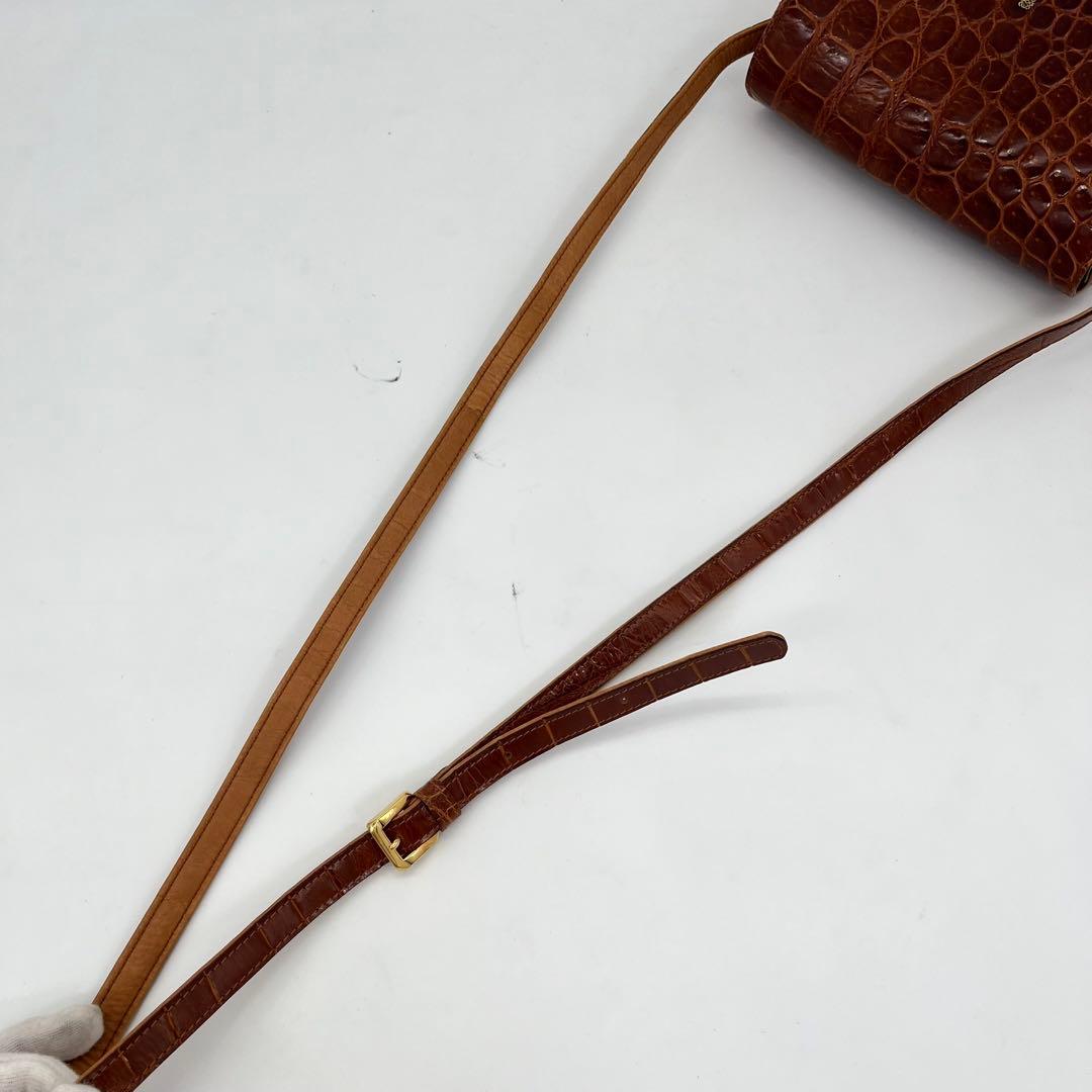 【希少品】LOEWE ショルダーバッグ 斜めがけ アナグラム シャイニングクロコ