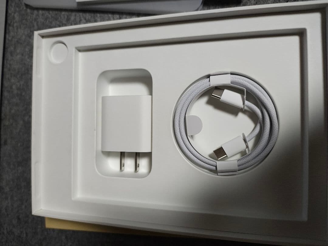 Apple iPad mini 第7世代 Wi-Fiモデル 256GB