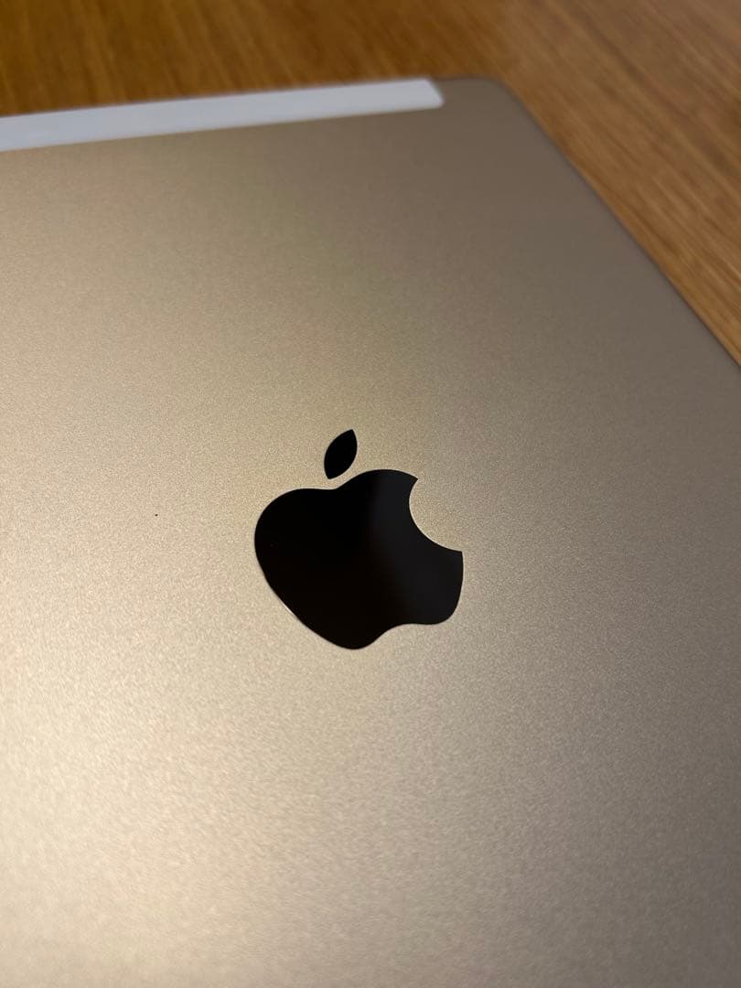 【美品】Apple iPad air2 ゴールド 本体 16GB