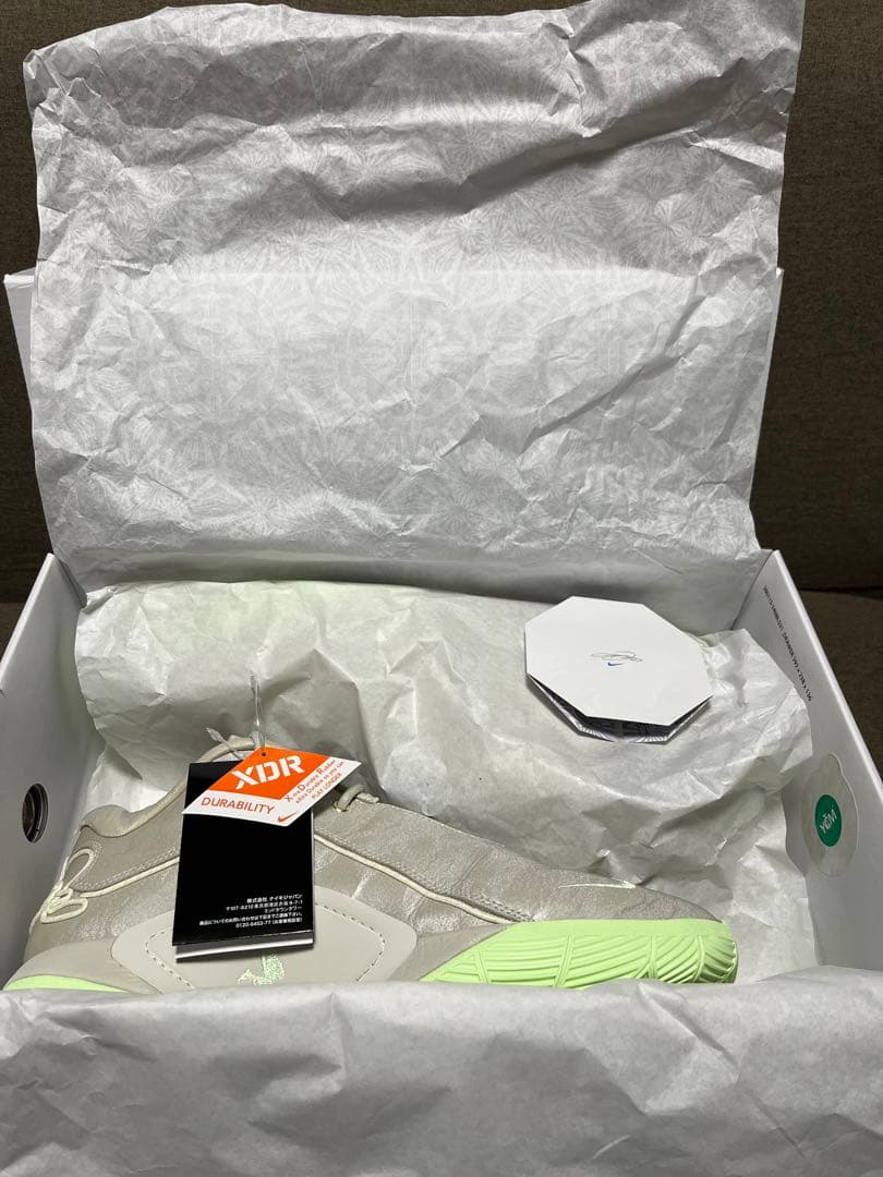 NIKE LEBRON 22 EP ナイキ レブロン 30cm 箱付き