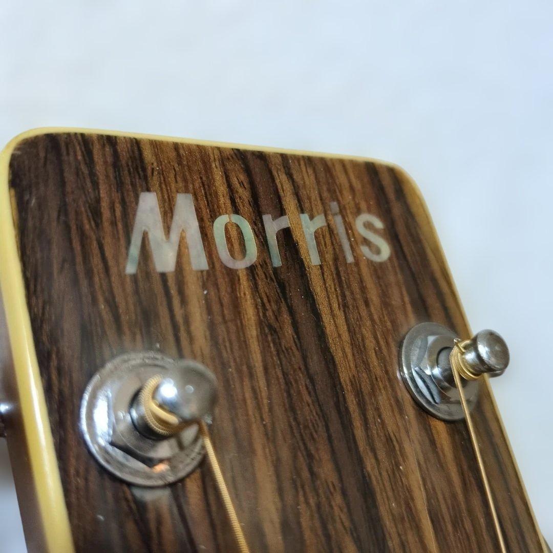【美品】Morris MD-507 アコースティックギター