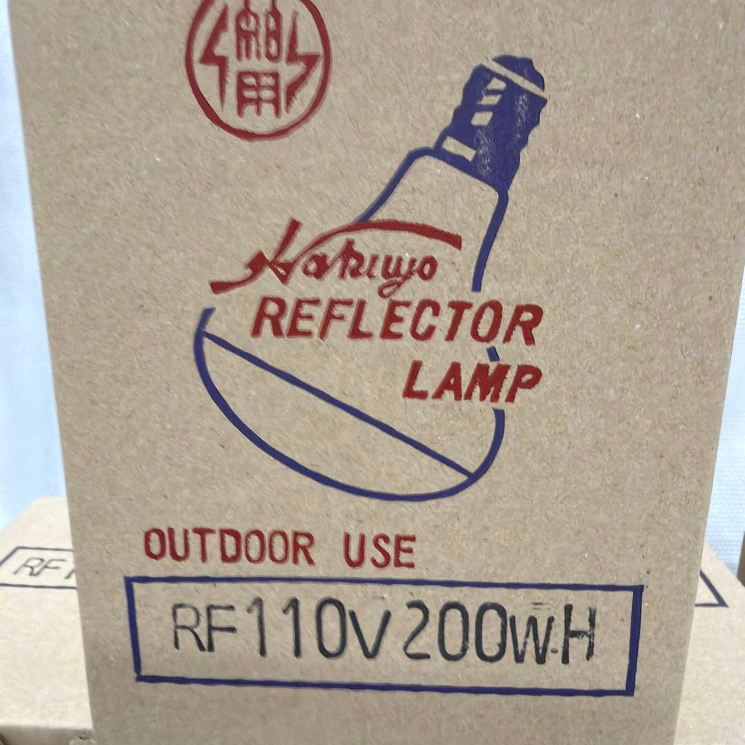 屋外・散光形　Hakuyo リフレクターランプ RF110V200W 4箱