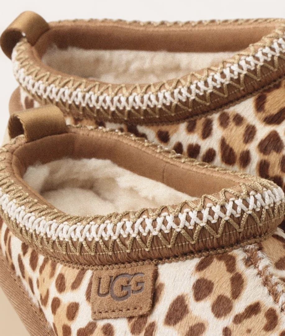 UGG W TAZZ PLAINS / アグ タズ プレインズ 23cm