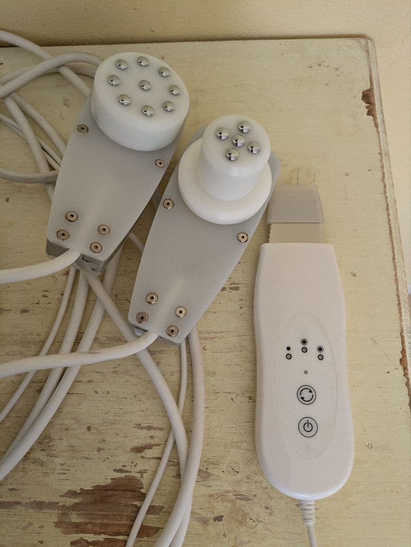 業務用　エレクトロポレーション