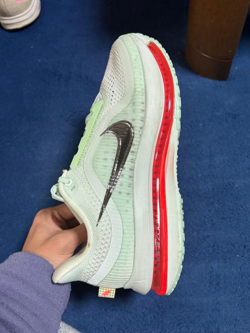 ナイキ ペガサス プレミアム25cm