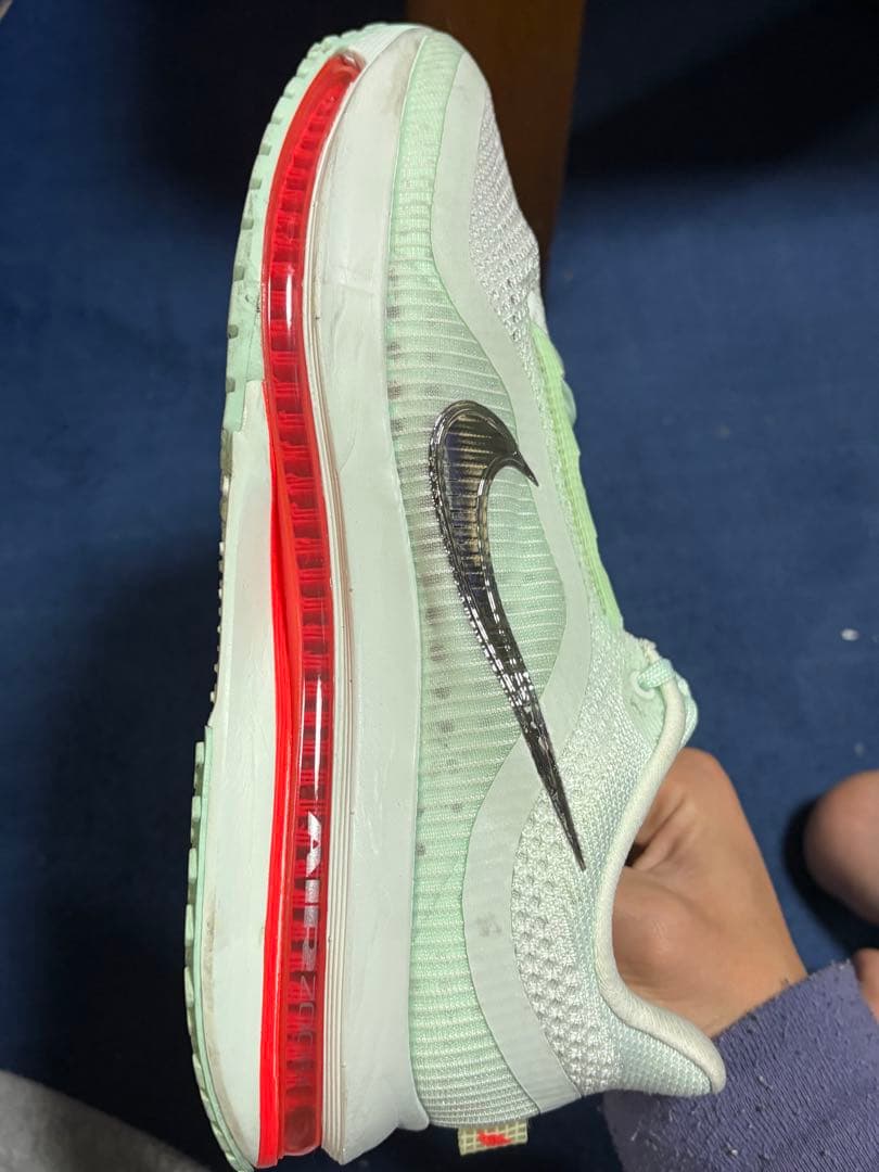 ナイキ ペガサス プレミアム25cm