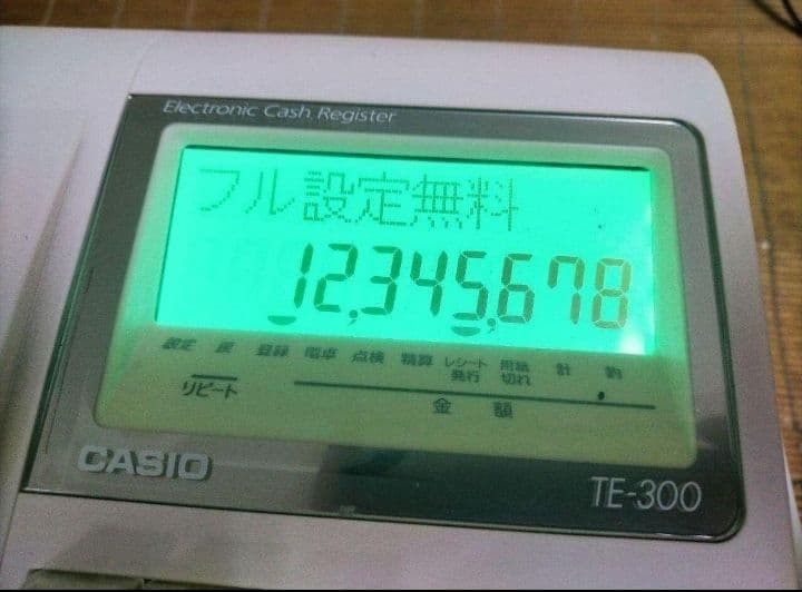 カシオレジスター　TE-300　 設定無料　 送料無料人気機種　913338