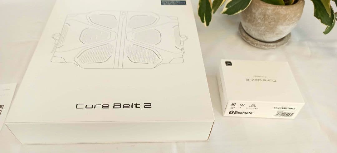 【美品】SIXPAD コアベルト2Mサイズシックスパッド