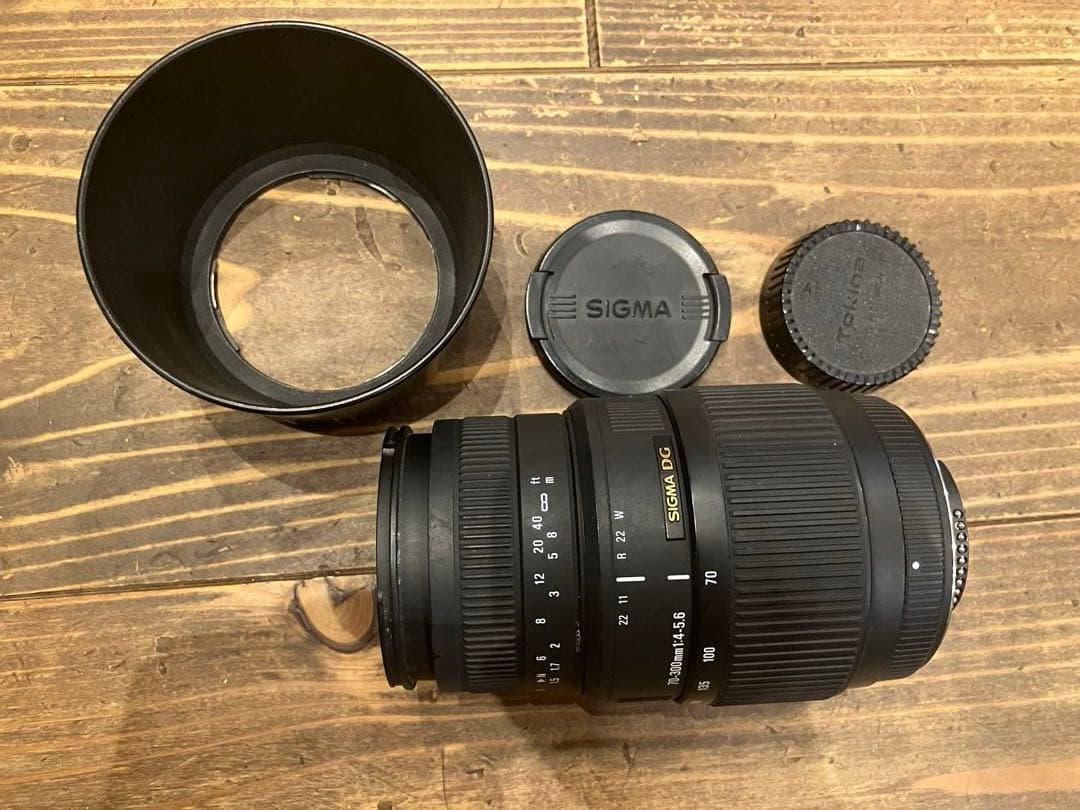 Nikon D40 ダブルズーム　SDカードリーダー付(シャッター回数3082)