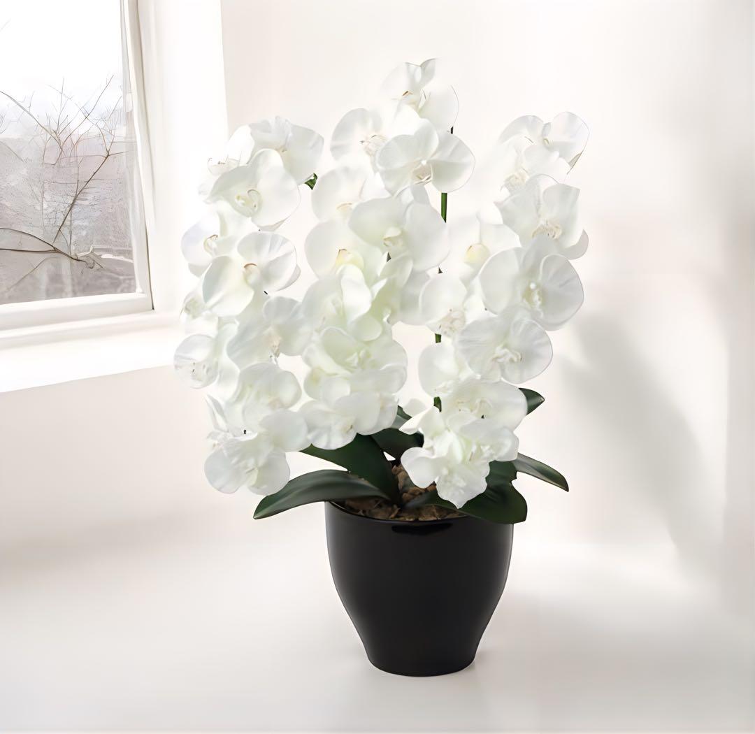 光触媒　人工観葉植物　ウォールグリーン　フェイクグリーン　プレミアム胡蝶蘭W