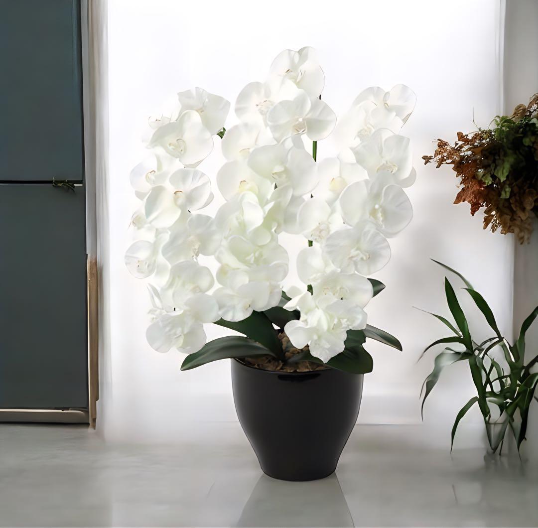 光触媒　人工観葉植物　ウォールグリーン　フェイクグリーン　プレミアム胡蝶蘭W