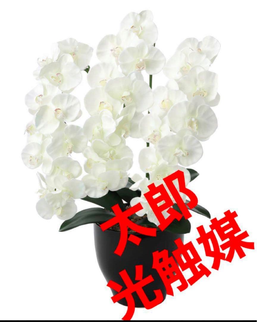 光触媒　人工観葉植物　ウォールグリーン　フェイクグリーン　プレミアム胡蝶蘭W