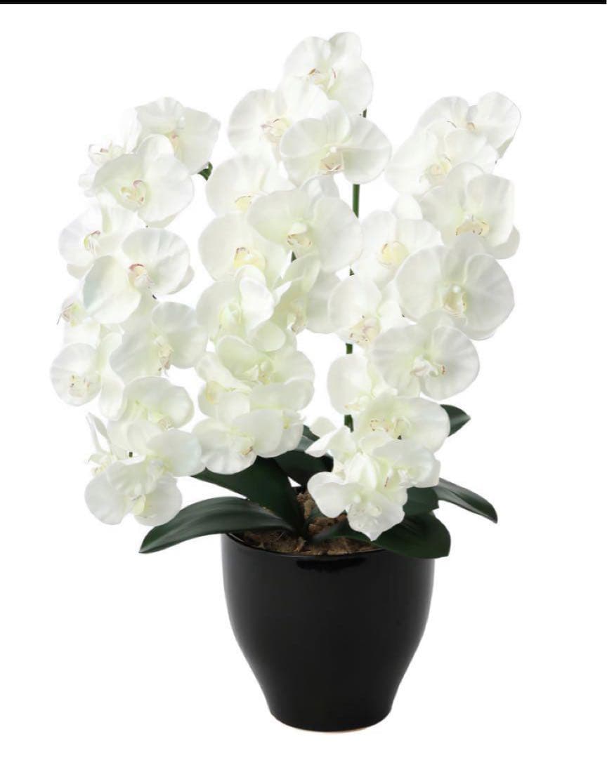 光触媒　人工観葉植物　ウォールグリーン　フェイクグリーン　プレミアム胡蝶蘭W