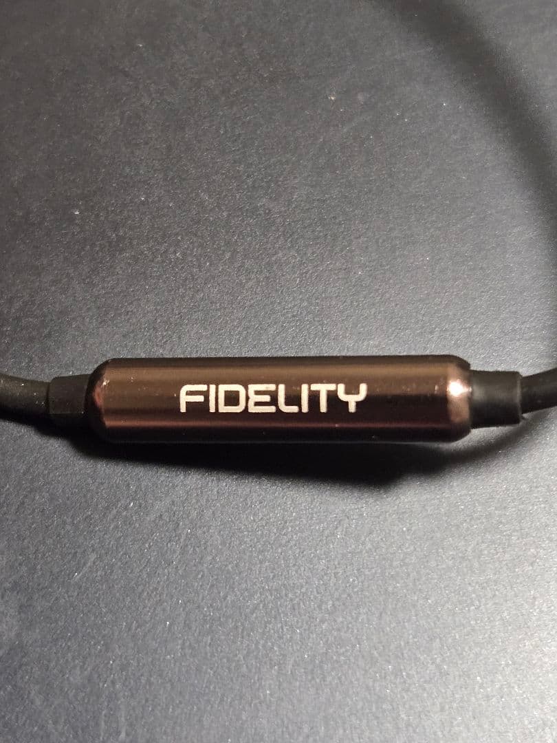 ​定価14万 DITA Fidelity 航空機グレード素材 美品
