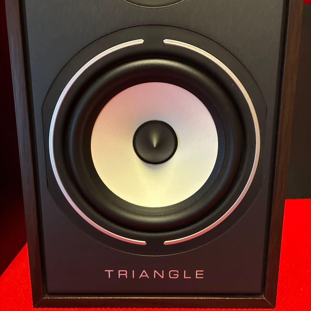 【完動美品】TRIANGLE Borea BR02 スピーカー　ペアWALNUT
