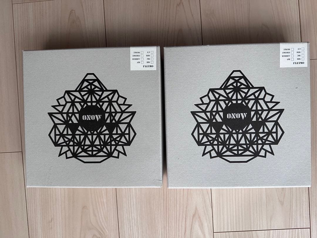 ⭐︎2個セット　MONO GIZAZIG Ledlenser ML4