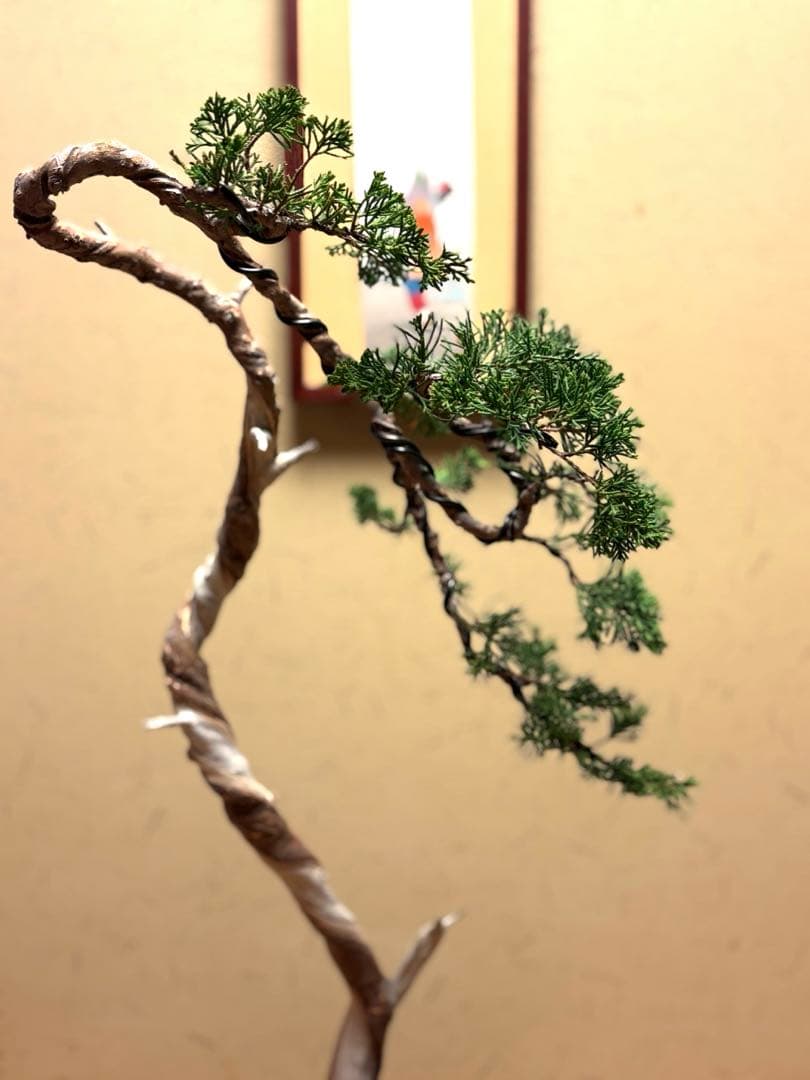 真柏盆栽❗️フォロワー150人記念値下げ❗️しなやかな動き！文人木盆栽！風情