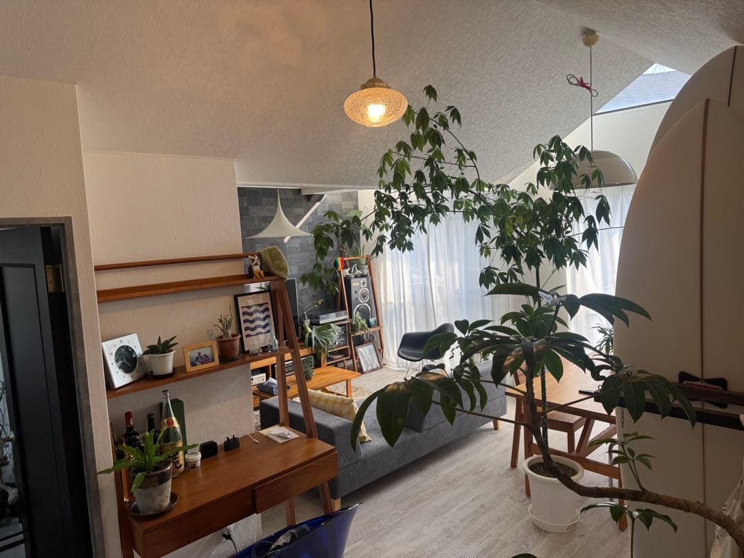 美品 Fog & Morupフォグ&モーラップ Semi 直径70cm