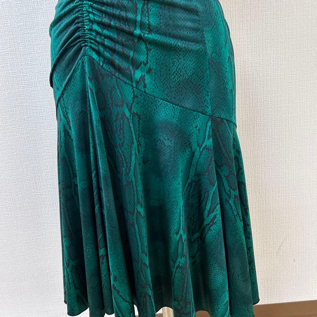 チャコット社交ダンスラテンワンピース緑ヘビ柄