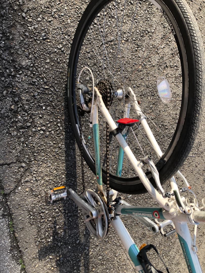 ビアンキ　スポーツ