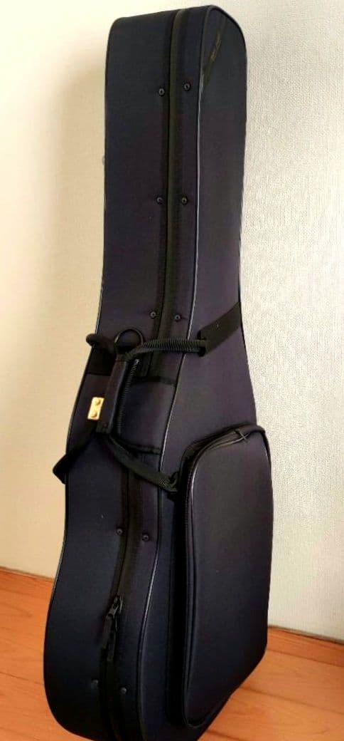 【限定特価】アストリアス ソロ ヘリンボーン セミハードケース+弦2セット