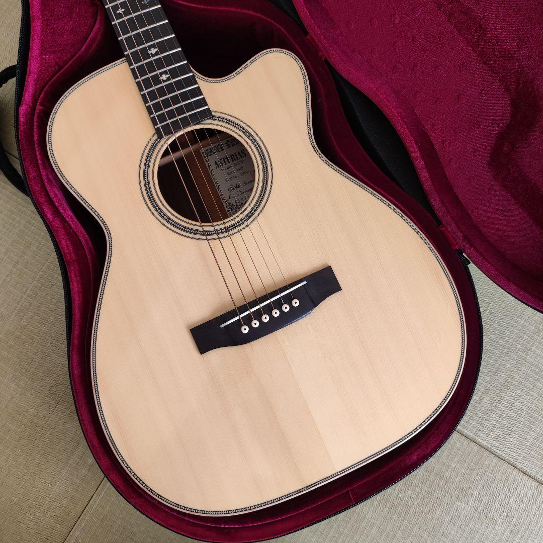 【限定特価】アストリアス ソロ ヘリンボーン セミハードケース+弦2セット