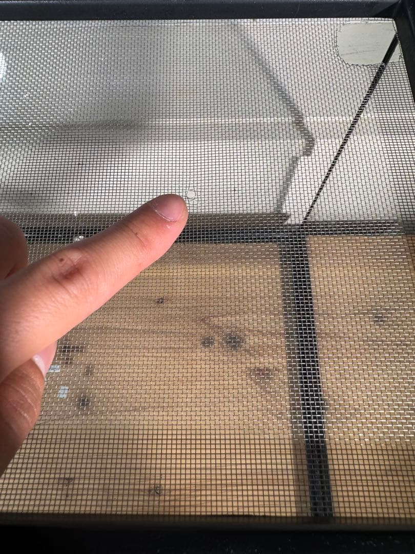 爬虫類　飼育セット　フトアゴ　リクガメ