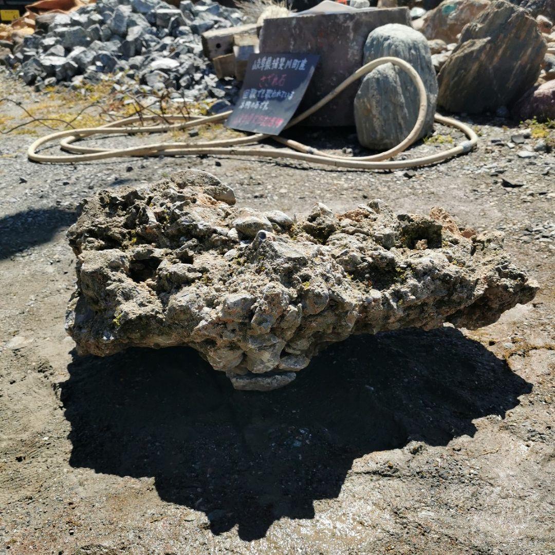 岐阜県　揖斐川産　さざれ石　64キロ　庭石　鑑賞石　石　庭　坪庭　ガーデニング