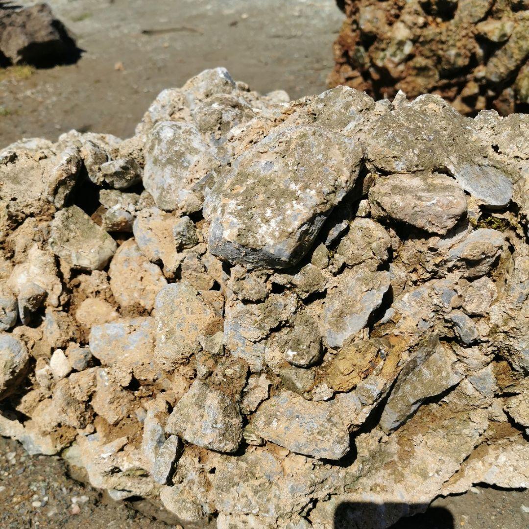 岐阜県　揖斐川産　さざれ石　64キロ　庭石　鑑賞石　石　庭　坪庭　ガーデニング