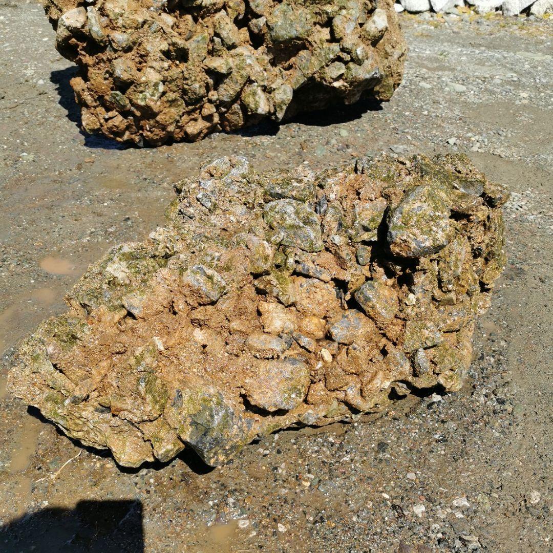 岐阜県　揖斐川産　さざれ石　64キロ　庭石　鑑賞石　石　庭　坪庭　ガーデニング