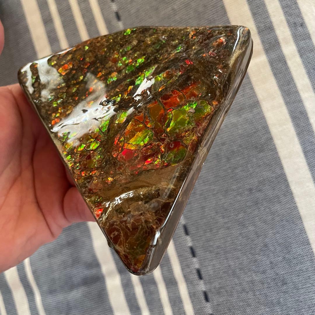 アンモライト 化石 アンモナイト 宝石 原石 大サイズ ドラゴンスキン 博物館