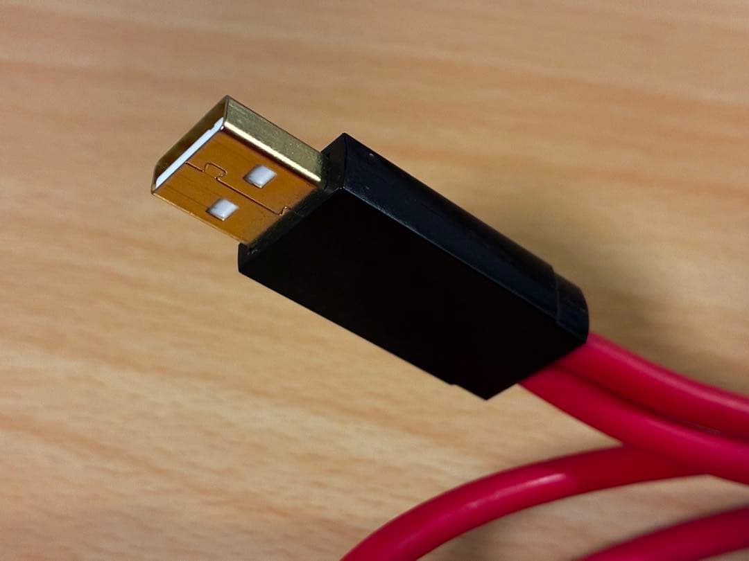 Acoustic Revive　R-AU1-PL 1m