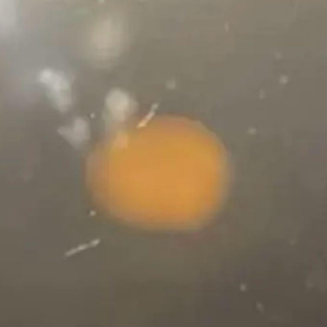 リコー　RICOH AUTO HALF SE