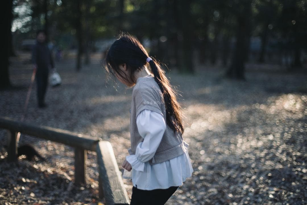 良品！標準の帝王！Planar 50mm F1.4 AEJ オールドレンズ