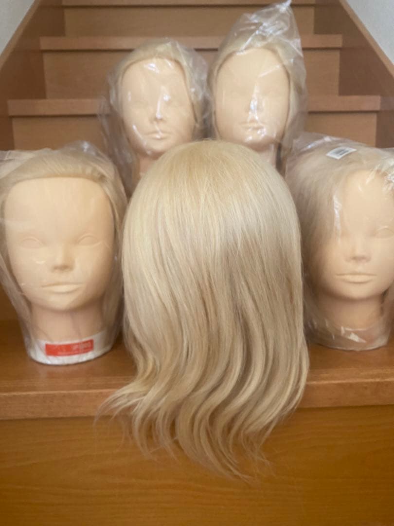 新品未使用 ウィッグカットカラーマネキン国試練習用iP100G 5体