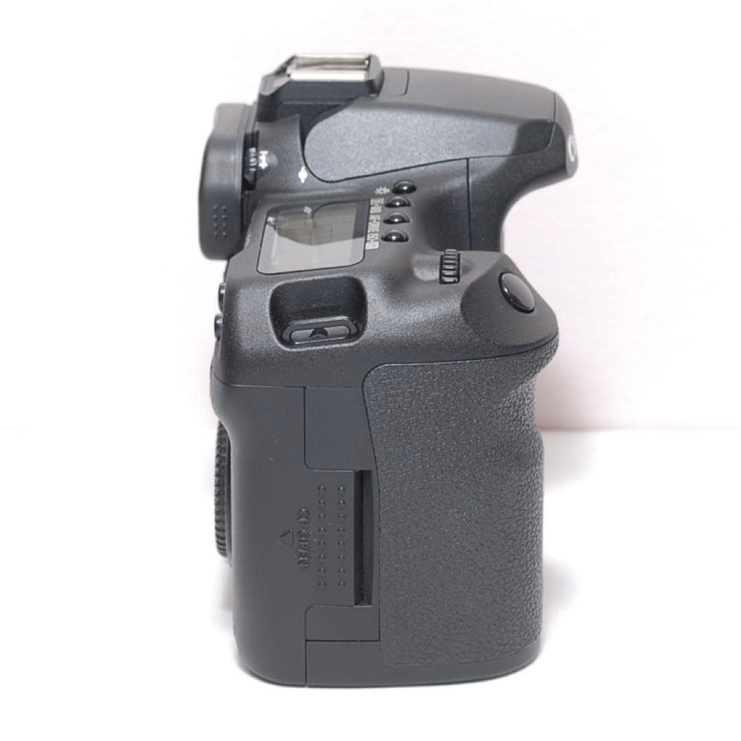 専用 ✨サクサク撮れる✨Canon EOS 50D✨望遠レンズ✨少シャッター数✨