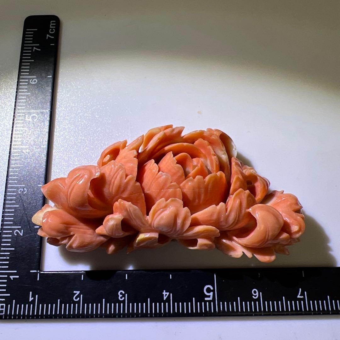 本赤珊瑚　大振バラ彫刻　31g 東Y8-0203☆2F