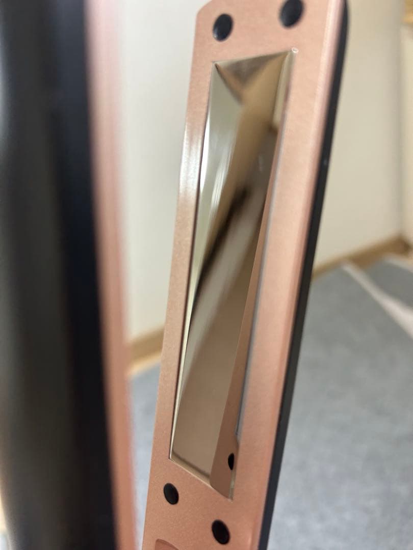 MEDULLA SONIC-SHINE PRO 超音波トリートメントアイロン