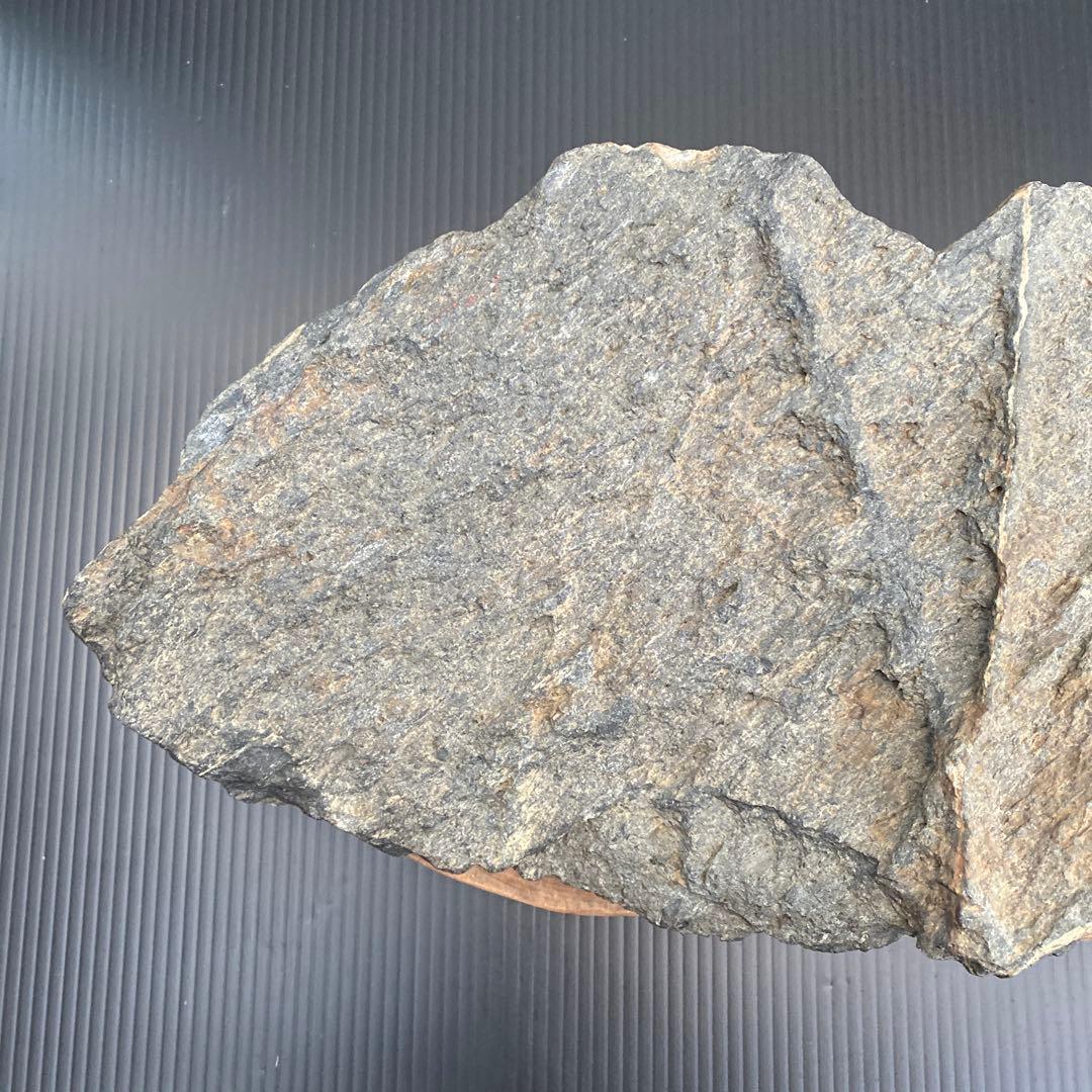 【日本三大銘石佐治石】 古代石 採石禁止石 鯨形 珍品