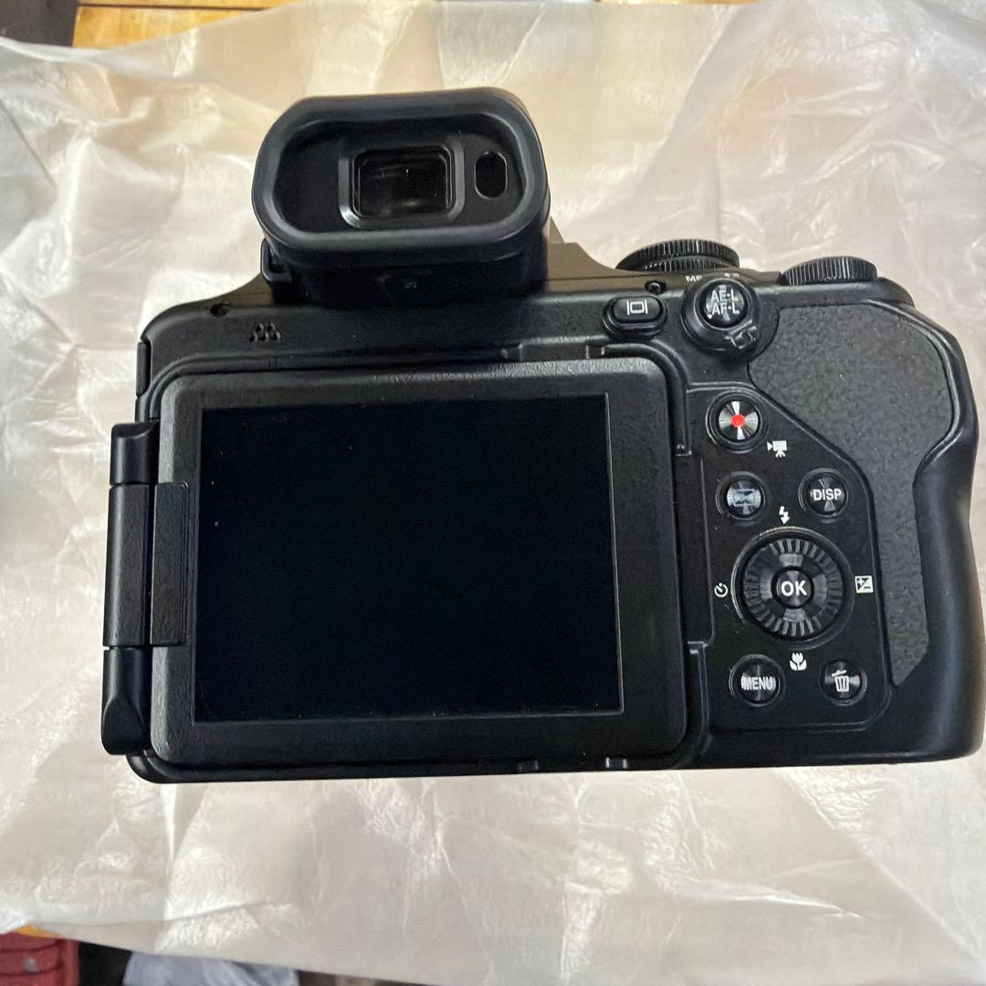 nikon coolpix p1100プラス、予備バッテリー