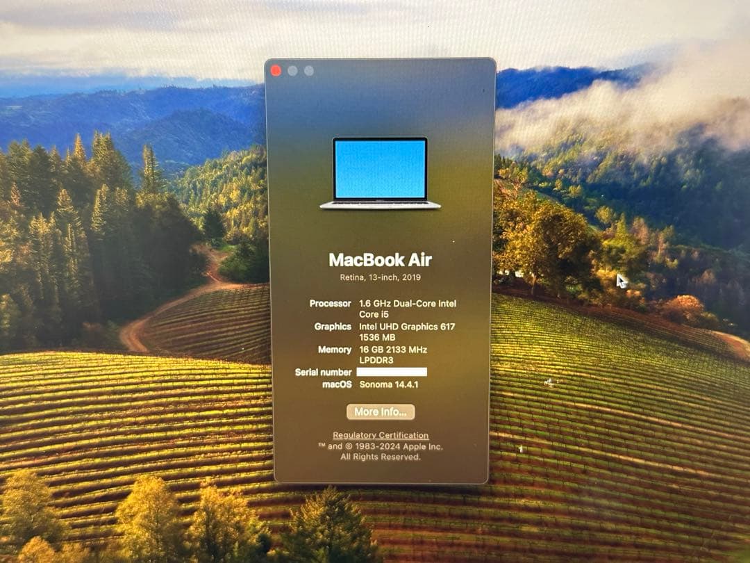 もーMacBook Air 2019 / touchID / 16GB