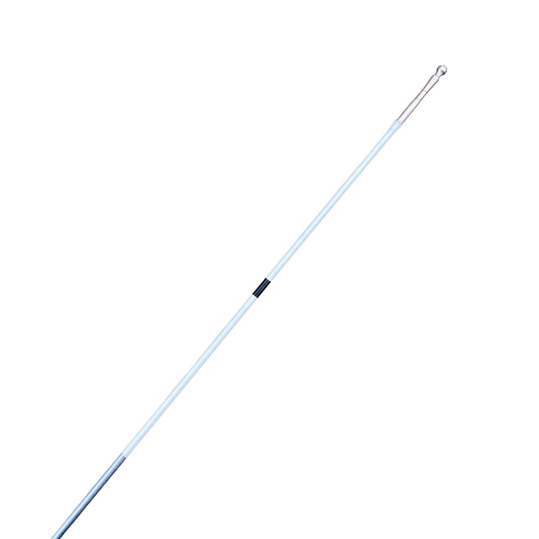 【希少】ダイワ 巧匠 アルトマイスター II 早瀬抜90 鮎竿