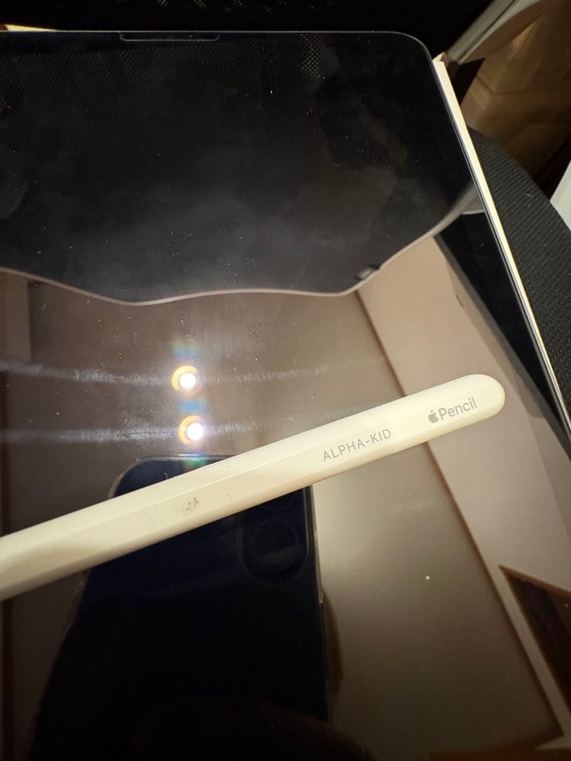 iPad Pro 11 第四世代 + Apple Pencil