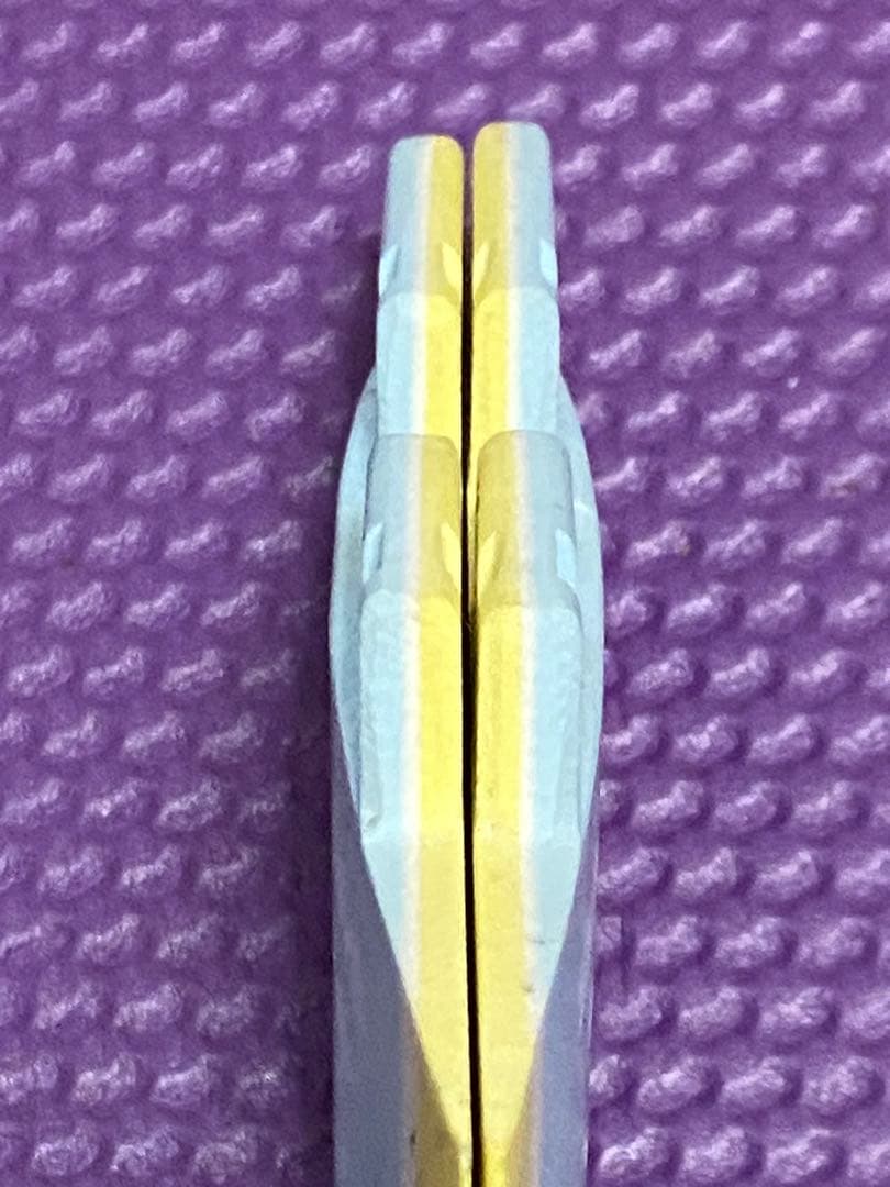 アッシャー・ペイシー fc2 ツインフィン