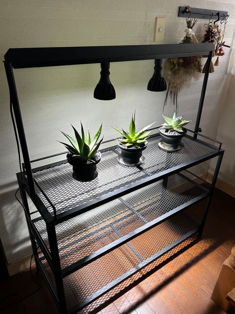 ☆送料込み☆アイアン植物棚　即購入OK ライトレール付　ボタニカル　アガベ