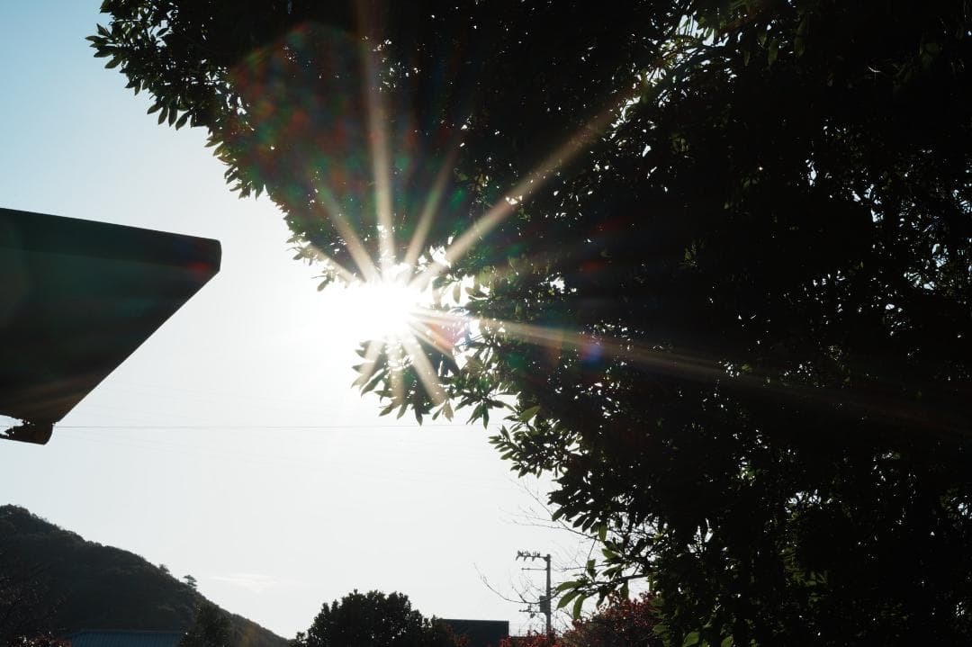 プロ検証済｜SONY FE50mm F1.8 日常を特別に変える 371