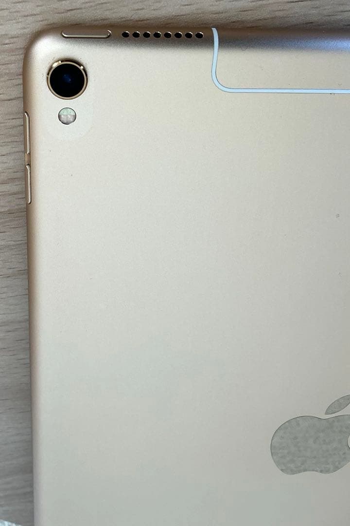 iPad本体 iPad Pro 256GB MPHJ2J/A Wi-Fi+Cellular