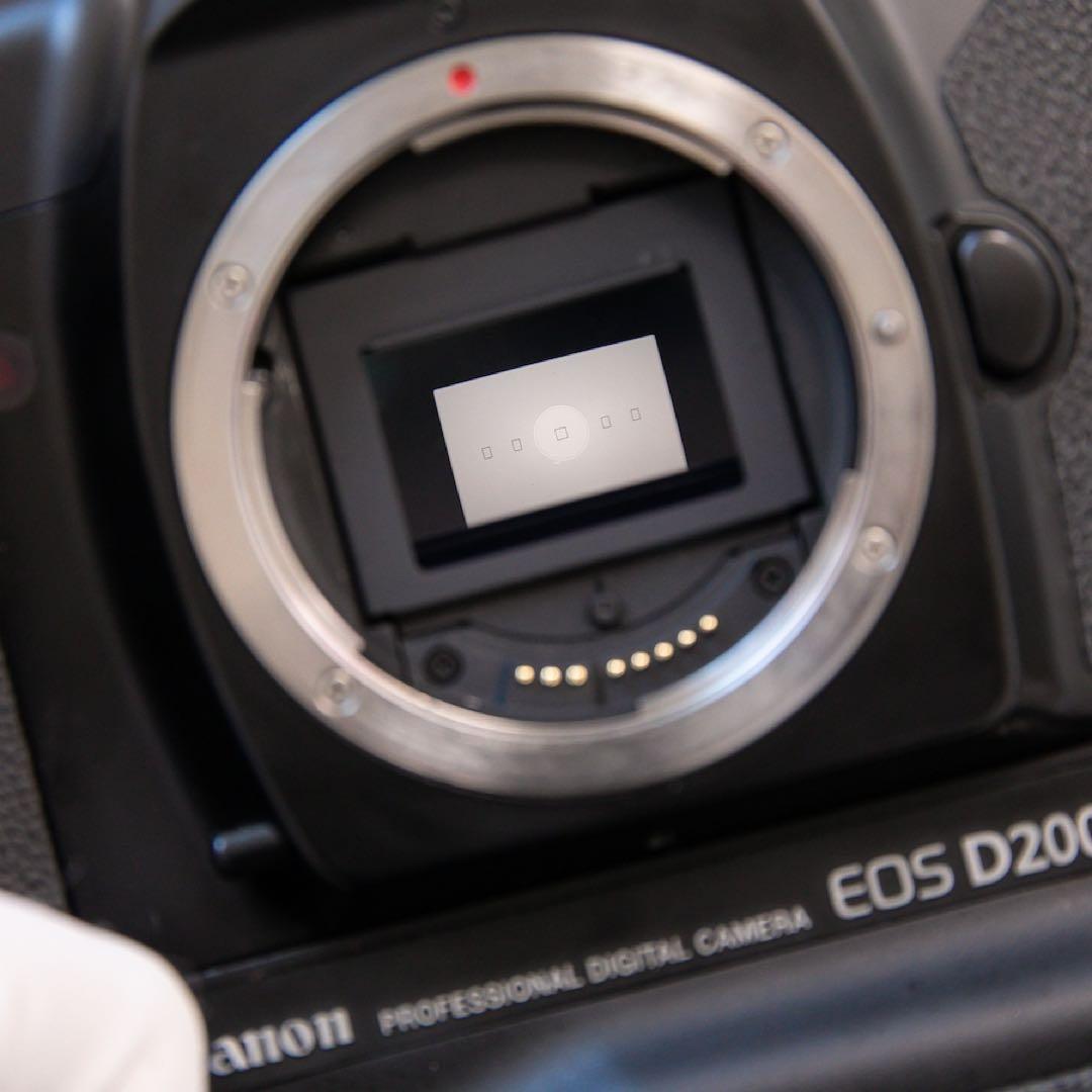 【超希少】Canon EOS-1n D2000 コレクターズアイテム