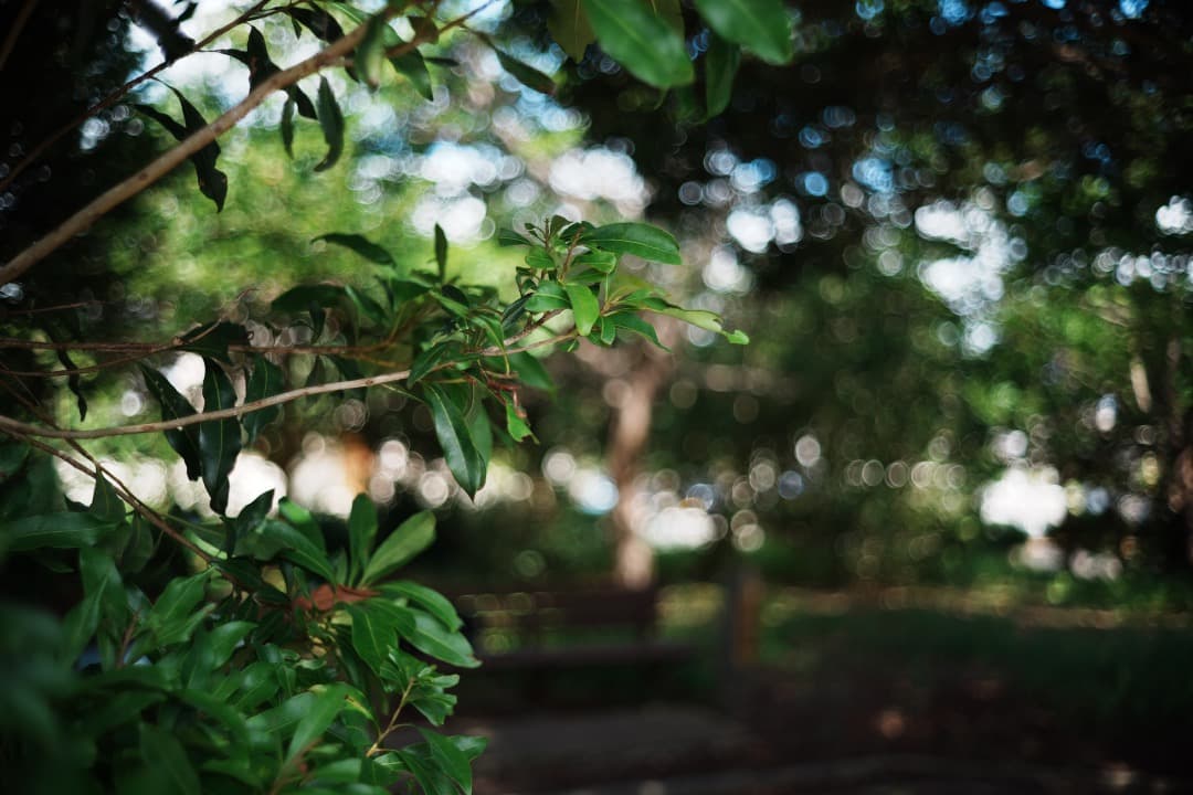 【ライカ】Minolta M-ROKKOR 40mm F2 Leica 476